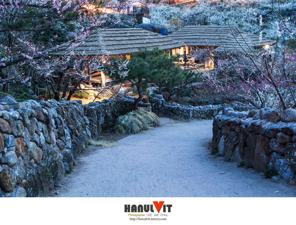 매화마을의 밤..