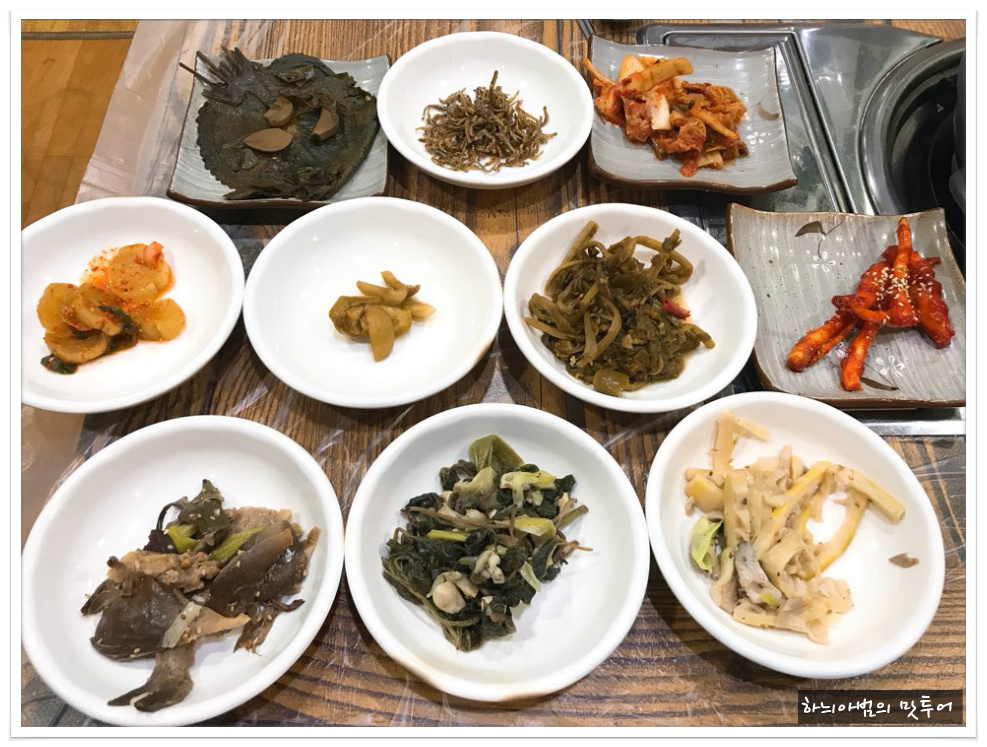 전주 산약초백숙 전문..뜰안애 - 전북/익산 지역 추천맛집 뜰안애 후기