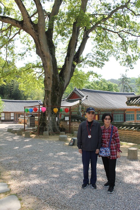 원본이미지(클릭)