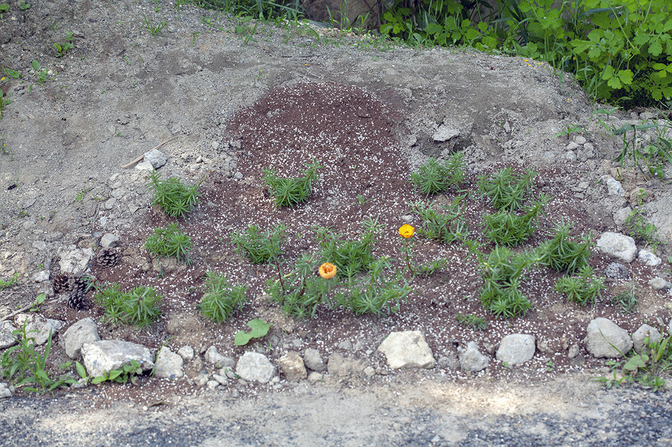 교육은 이 어린이들의 장래를 결정한다.