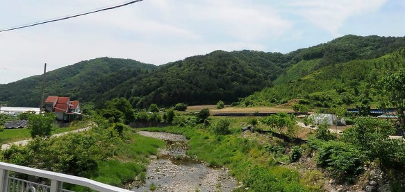 사진:산천어와수달이사는 화천 관리지역(전)120평1500만원