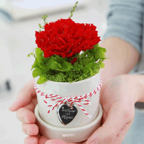 🍅[산업은행 정책자금 500억 함께할 차주법인구함]🍅
