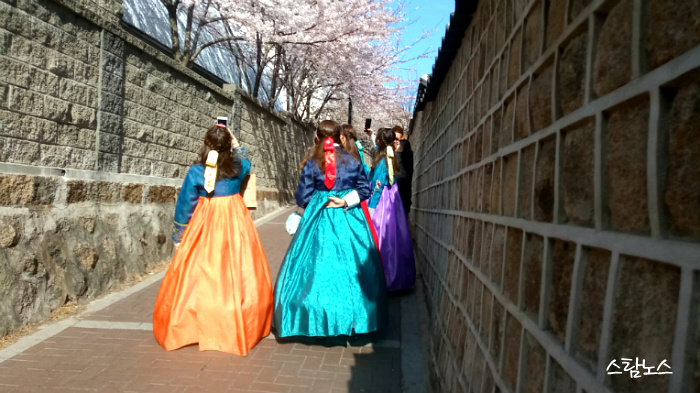 꽃 그늘 아래 꽃 같은 여인들