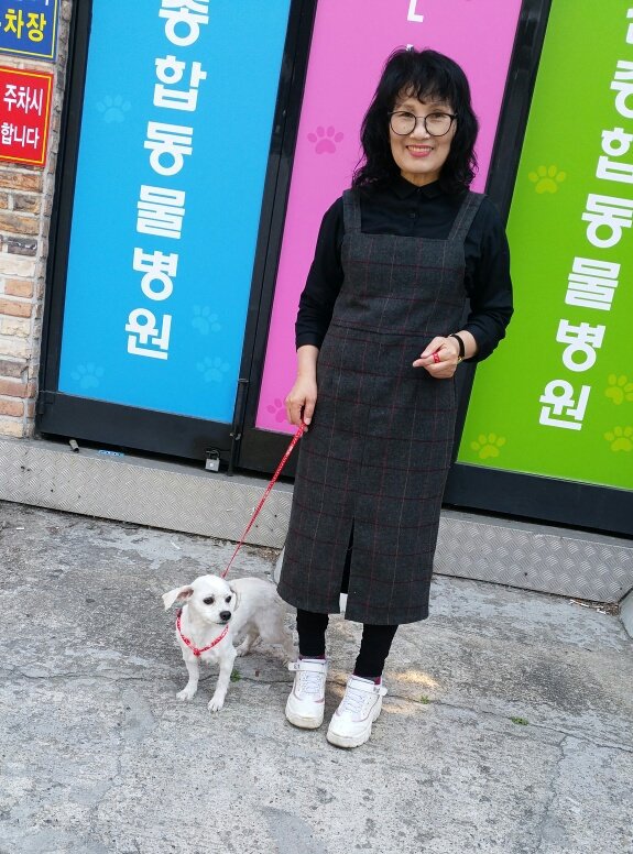 2019. 3. 29(금)말티즈 믹스견 모세군 병원1차