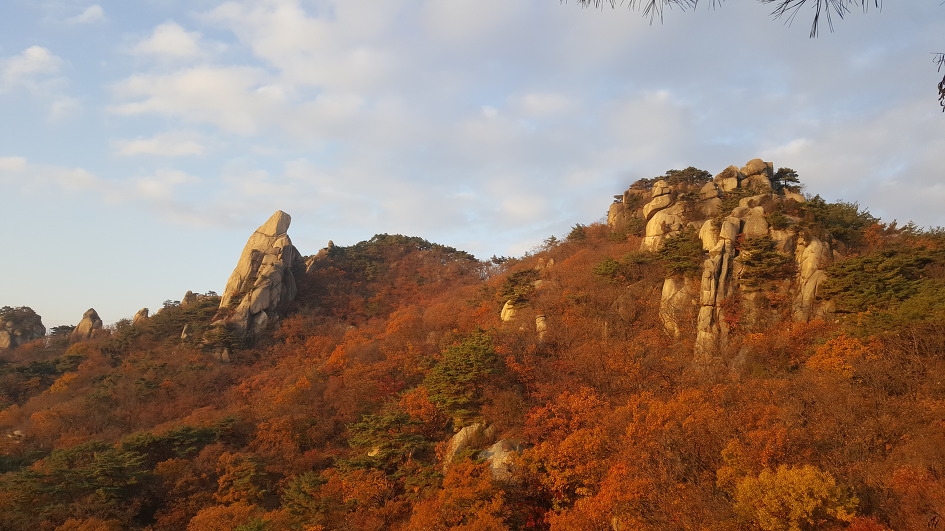 2017.11.04 / 보문능선