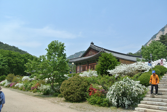원본이미지(클릭)