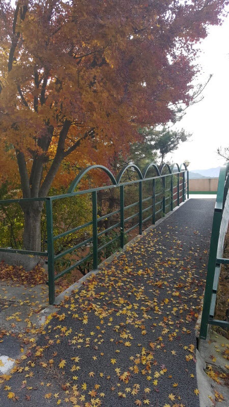 99F9A2335A175B70289517