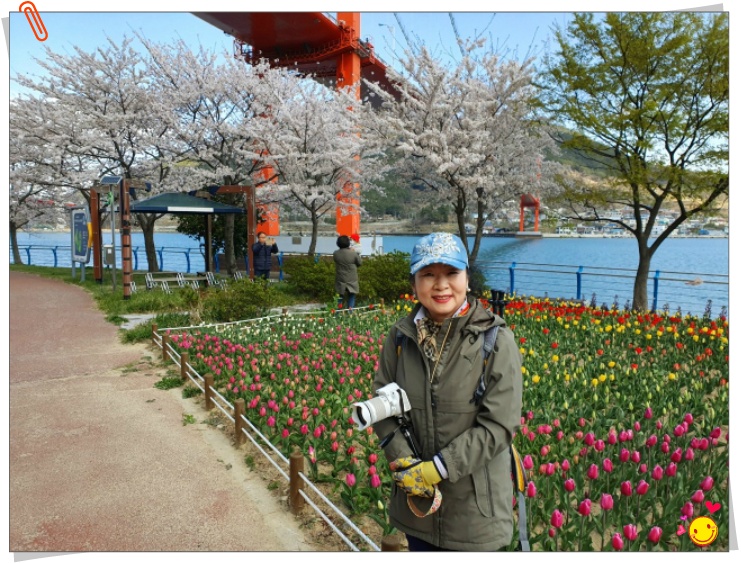 경남 남애 봄꽃여행 